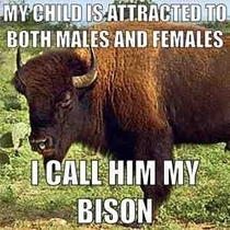 My bison