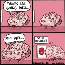 My brain with finals coming up