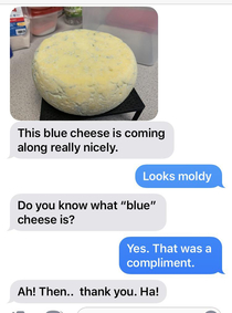 My buddy is really into cheese making right now