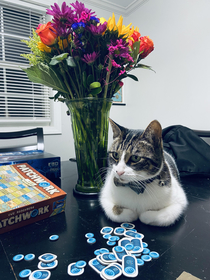 My cat guardinghoarding all the buttons in Patchwork while my wife and I play
