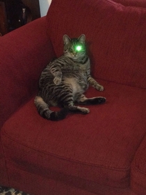 My cat has one eye and my flash was on Cyborg kitty