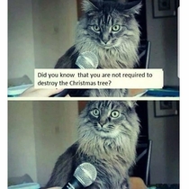 My cat has the same reaction when I ask it this question