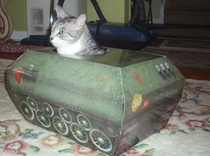My Cat In Army Tank