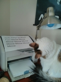My cat is obsessed with the printer so I send her messages during the day