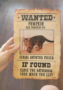 My cat keeps peeing in my bathtub so I made this for the door