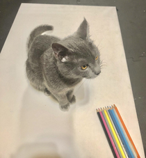 My cat on a piece of paper that looks like it was drawn with colored pencils