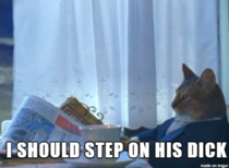 My cat within three minutes of me getting home from getting a vasectomy