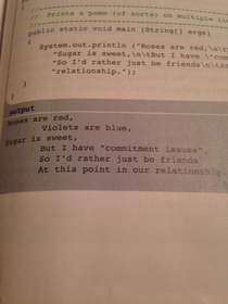 My computer science textbook has some issues