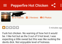 My cousins review of a hot chicken place in Nashville