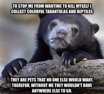 My dark confession bear