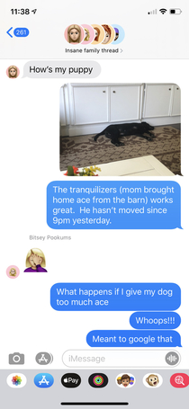 My daughter and son-in-law asked us to watch the puppy while they are out of town My response after  hows my puppy texts