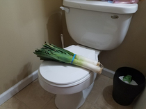 My daughter called me on my way back from the store stating that our toilet has a huge leak I came home to this