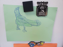 My daughter drew a bluejay and hung it on the fridge