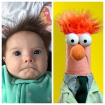 My daughter looks like Beaker from The Muppets