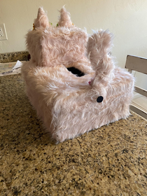 My daughter made a cat Valentines Day box and my son thought he was funny