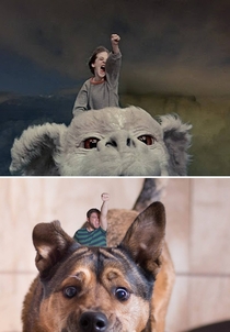 My dog and I recreated a scene from The Neverending Story