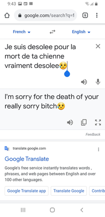 My dog died yesterday My mother-in-law sent her condolences Google translate conveyed this heartfelt message