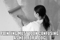 My dog watched me repaint a room today This thought occurred to me