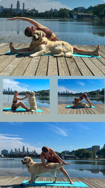 My dogs first yoga session