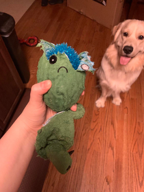 My dogs toy underneath was sad it got ripped up C