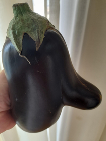 My eggplant has a nose