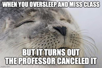 My fellow college students is there a better feeling