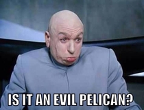 My first thought when I heard the New Orleans Hornets changed their mascot to the pelicans
