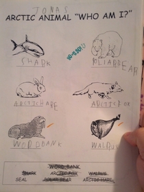 My five year old got a couple wrong on his arctic animal quiz