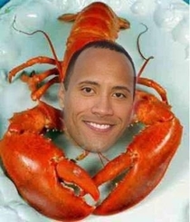 My friend caught a rock lobster about a  in  billion chance Some say If you try real hard you can actually smell what he is cooking