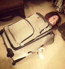 My friend climbed into a suitcase and awesome happened