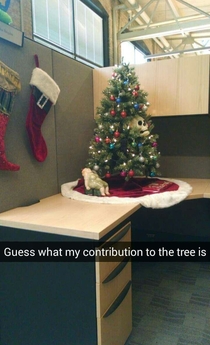 My friend really gets into the holiday spirit at work