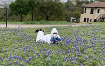 My friend took pics with the bluebonnets a few months ago Figured Id share it here