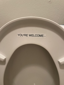 My gf complained of the toilet seat being up and I told her shes the minority in this household This was her reply