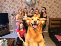 My girlfriend and her friends tried to take a group photo Alfie wanted to be in it as well