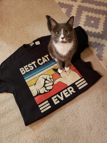 My girlfriend got me this awesome shirt for Valentines day but when I laid it down to take a picture our cat sat on the word Dad making the shirt just say Best Cat Ever