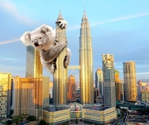 My girlfriend just said Koala Lumpur I Googled it and was not disappointed