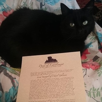 My girlfriend paid to make her cat Smeagol into a Lord Here he is with his Lordship deeds