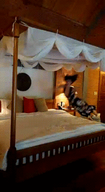 My girlfriend wanted a cool slo mo pic of herself jumping on our four poster bed in Vietnam