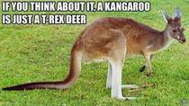 My Girlfriends Take on Kangaroos