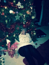 My grandma got so smashed at Christmas dinner that she fell into the tree