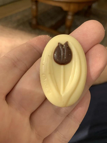 My grandma offered me this chocolate A tulip wasnt the first thing I saw