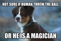 My human is a Magician