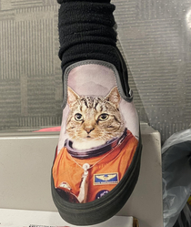 My husband photoshopped our cat as an astronaut and had it printed on his Vans Sweetest boy in space