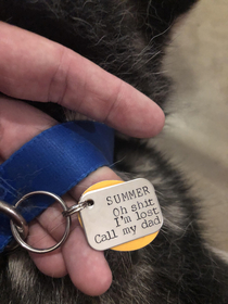 My huskys tags and they actually worked when he got away from the dog-sitter once
