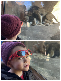 My kid had an educational day at the zoo