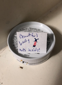 My kids added some flair to the ant bait station