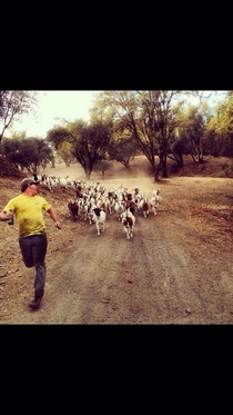 My little brother running away from a stampede of goats while holding a beer Just another day in the life of a country boy
