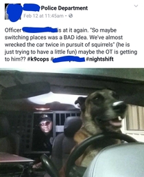 My local PD posted this to their Facebook the other night