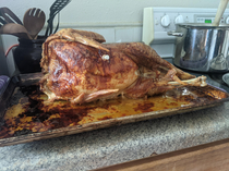 My mom baked the turkey like one of her french girls