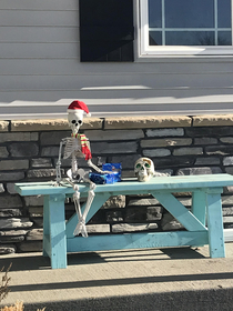 My mom decided to leave our halloween skeletons up and just give them seasonal costumes fred and jeff are their names if you were wondering
